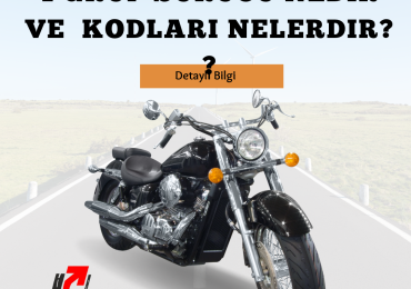 1 grup sürücü nedir ve  kodları nelerdir ?